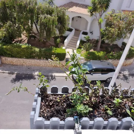 Апартаменты Rosa *